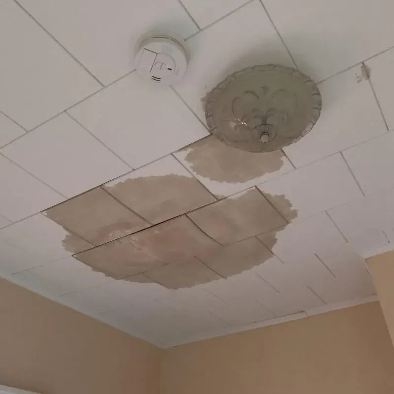 Ceiling Water Damage Repair in Sutton, MA