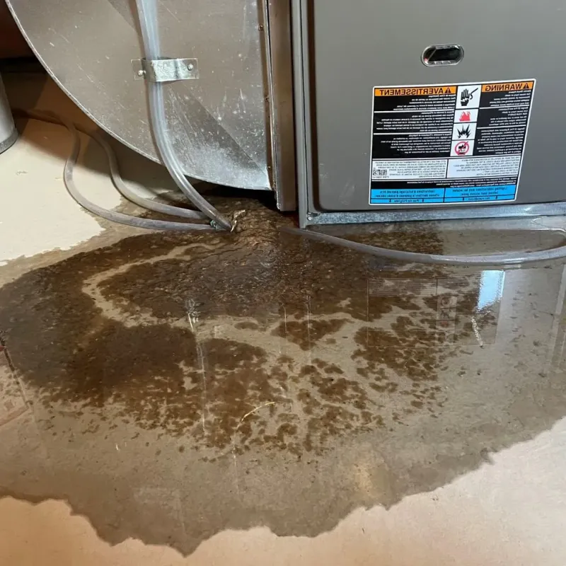 Pipe Burst and Leak Restoration in Sutton, MA